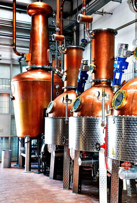 Distilleria dsc0166.jpg